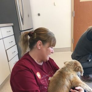 Meet your Posher, Debra